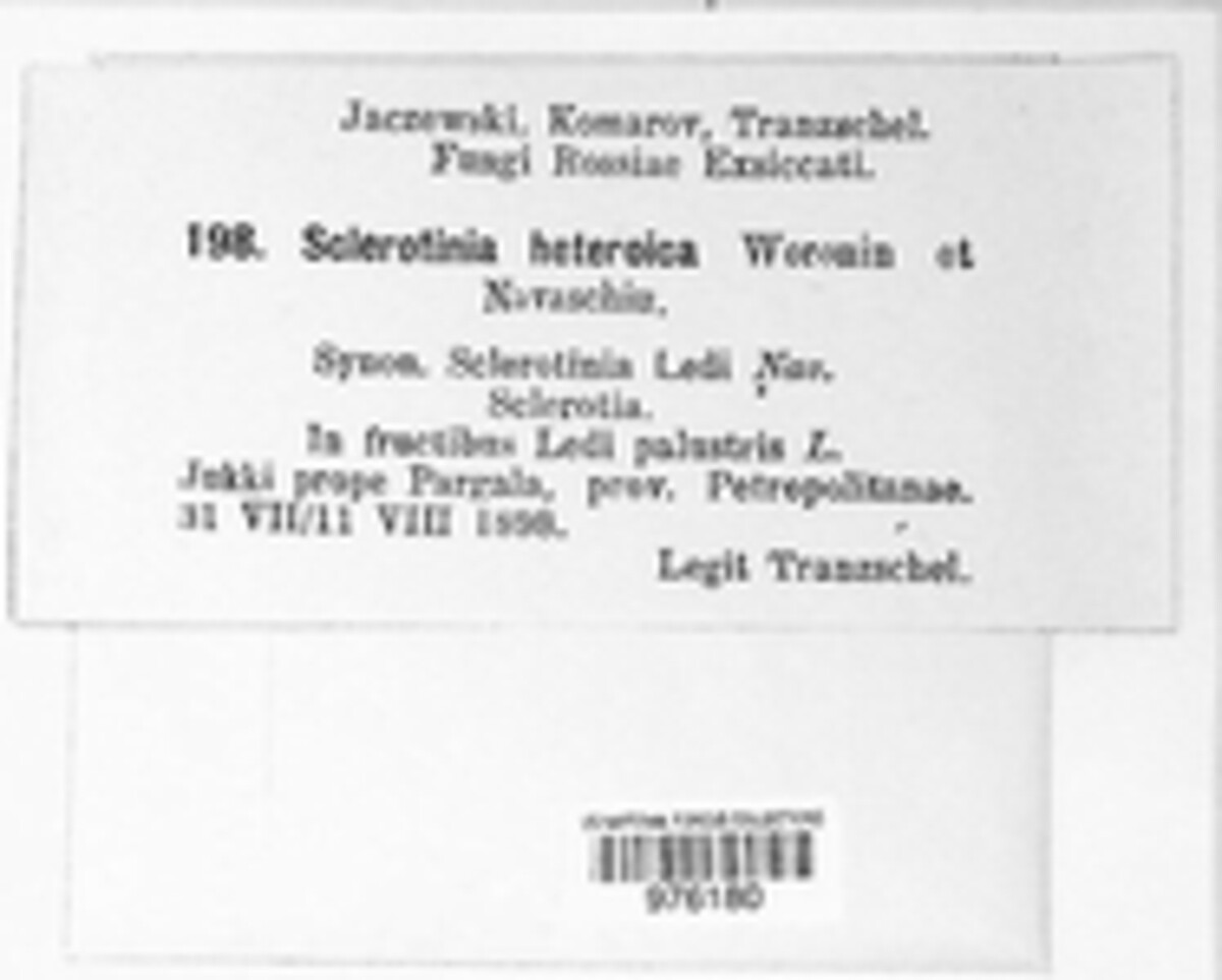 Stromatinia image